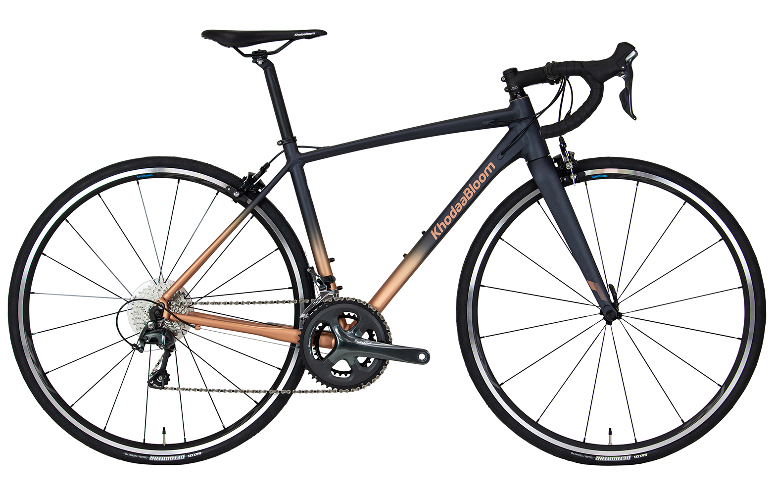 【稲城店】おススメ！新FARNAシリーズ