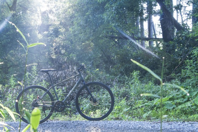 230525_bike_rdisc (21)