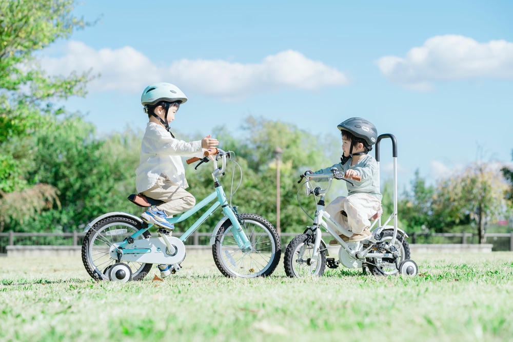 assonシリーズイメージカット