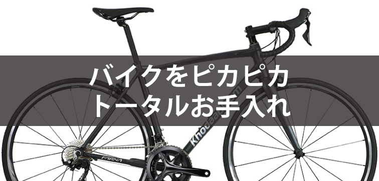バイクをピカピカトータスお手入れ